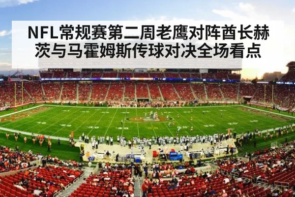 american football stadium crowd