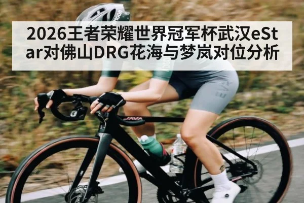 2026王者荣耀世界冠军杯武汉eStar对佛山DRG花海与梦岚对位分析